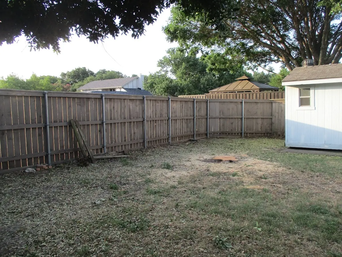 Cleared yard after professional tree removal in East Durham